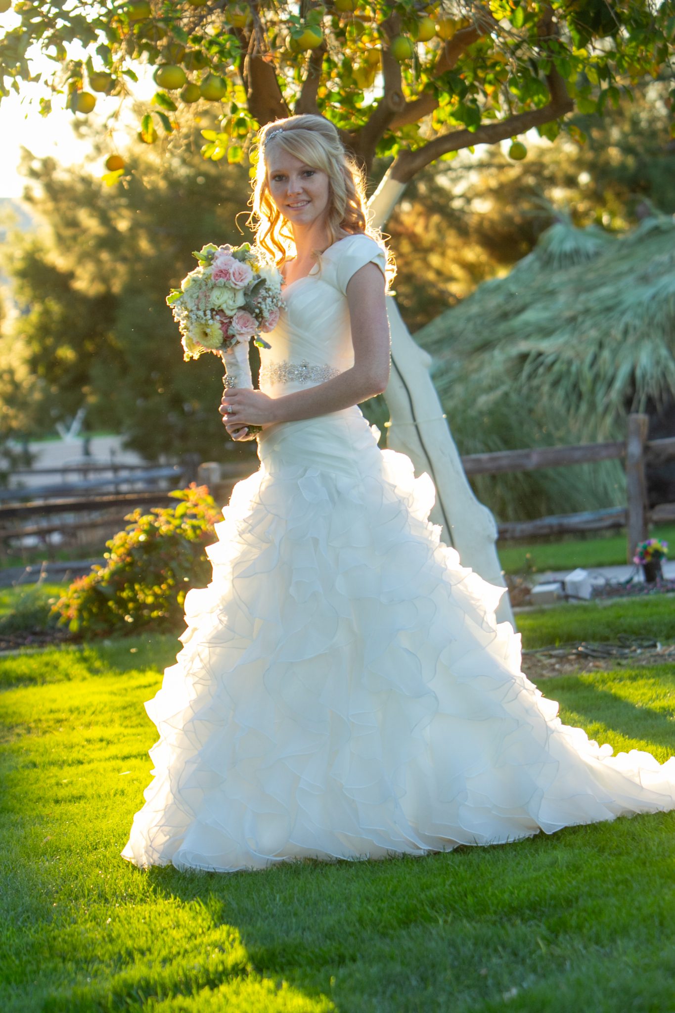 Mesa Temple Wedding Photographer